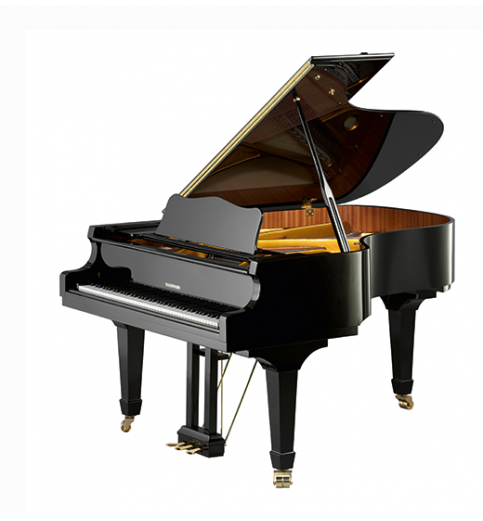W. Hoffmann Vision V-175